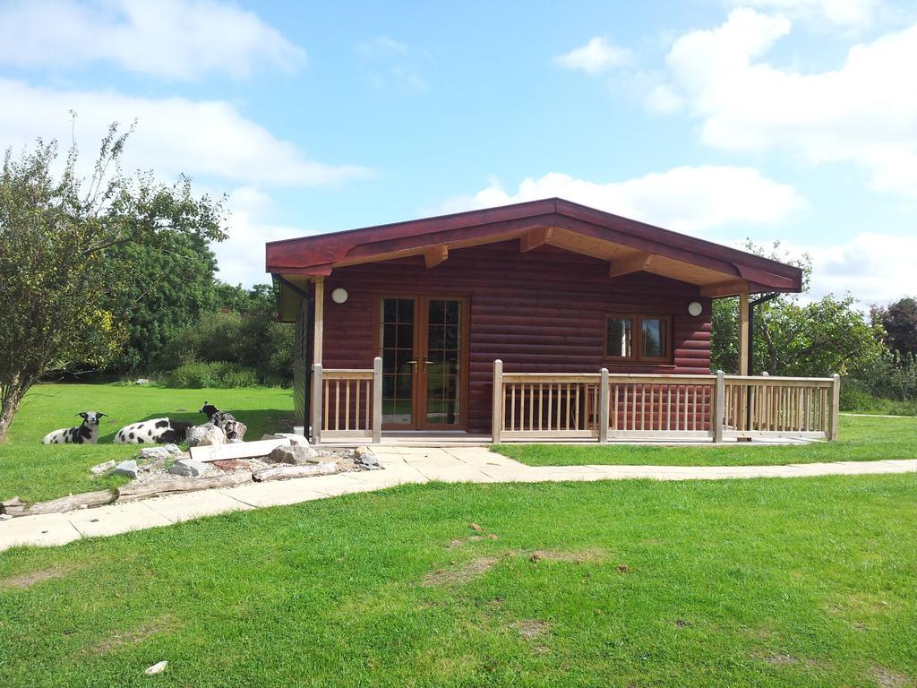 Wall Eden Farm - Luxury Log Cabins And Glamping Highbridge Cameră foto
